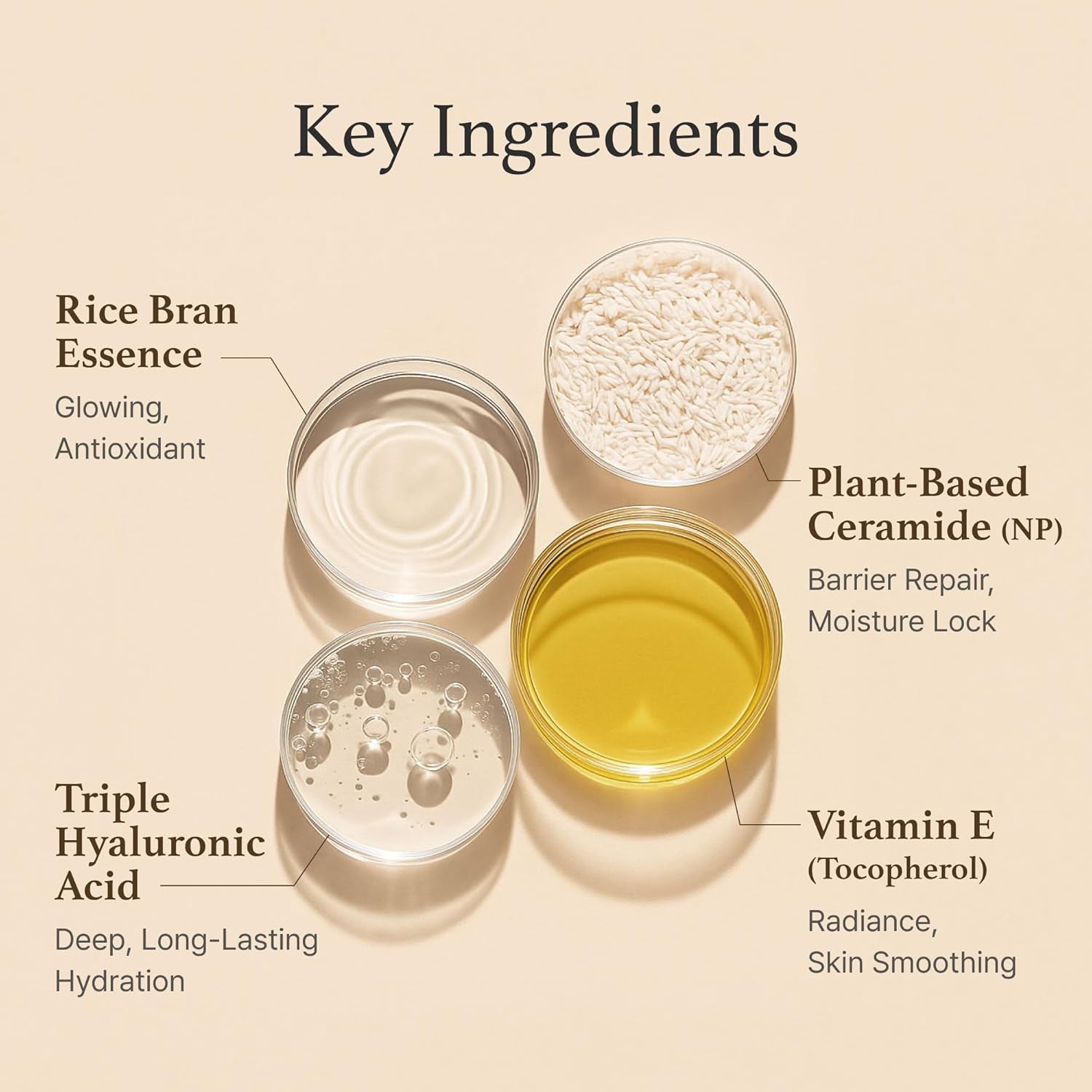Rice Cream 1.69 Ounce, 41% Rice Bran Essence with Ceramide, Glowing Look, Improves Moisture Skin Barrier, Nourishes Deeply, Soothing to Even Out Skin Tone, Valentine'S Gift